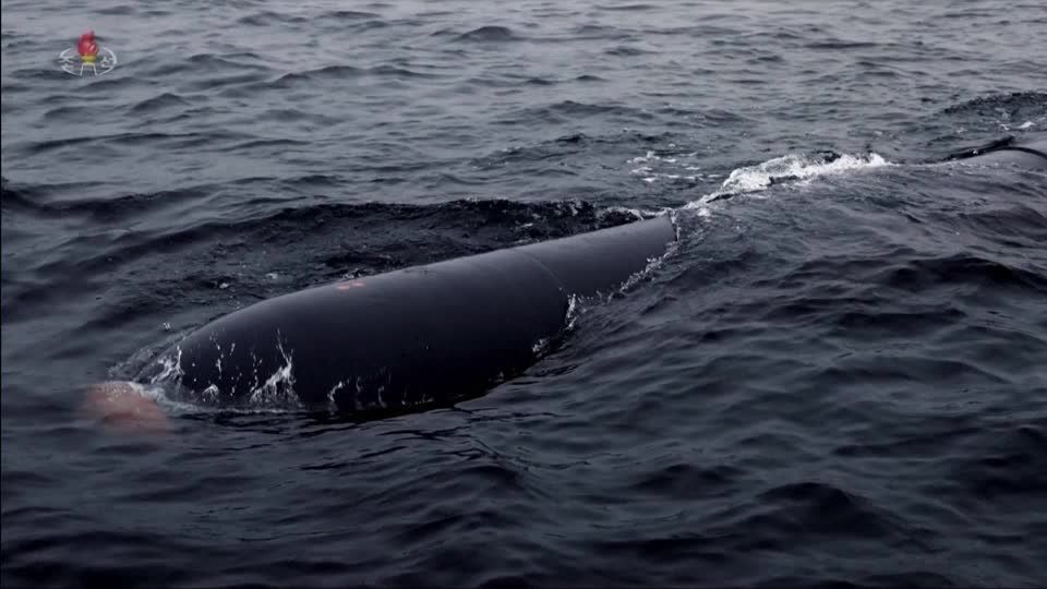 Video: Nordkorea meldet erneut Test einer nuklearfähigen Unterwasserdrohne Video: Nordkorea meldet erneut Test einer nuklearfähigen Unterwasserdrohne