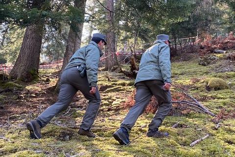 Jogger von Bär angegriffen