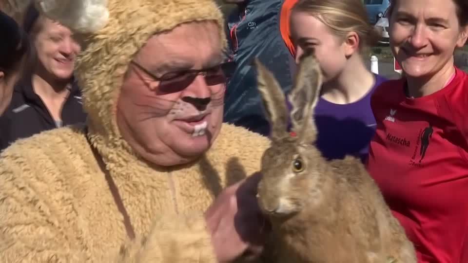 Video: Meister Lampe hinterher: 21. Osterhasenlauf begeistert am Feiertag Video: Meister Lampe hinterher: 21. Osterhasenlauf begeistert am Feiertag