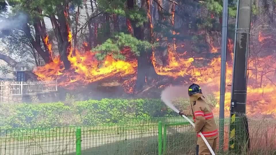 Video: Südkorea: 570 Feuerwehrleute bei Waldbrand im Einsatz