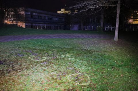 Baden-Württemberg: Die Markierungen auf dem Rasen bei einem  Schulzentrum in Ulm zeugen von einer grausamen Tat: