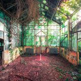 Noch dringen ein paar Lichtstrahlen durch das Fenster. Doch es ist vielleicht nur eine Frage der Zeit, ehe dieser verlassene Raum komplett zugewuchert ist und damit verdunkelt.