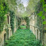 "Ein Gärtner lernt mehr aus den Fehlern als aus den Erfolgen." Frankreich