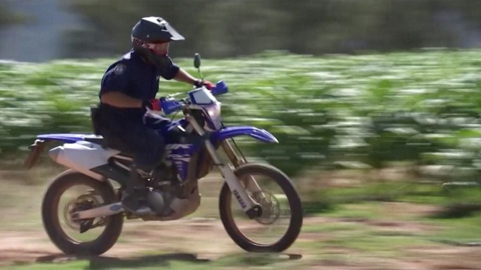 Illegaler Anbau: Anti-Tabak-Razzia hautnah: Polizei geht mit Dirtbikes auf Gangster-Jagd