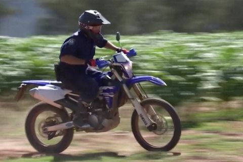 Illegaler Anbau: Anti-Tabak-Razzia hautnah: Polizei geht mit Dirtbikes auf Gangster-Jagd