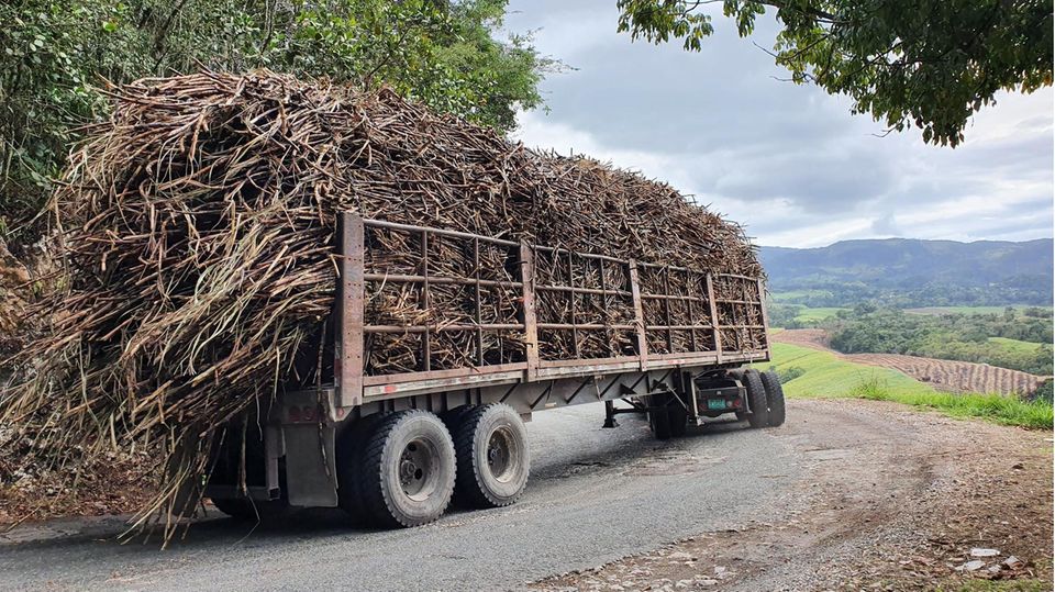¨Cane truck in the mountains at Lluidas vale, get out the way! they can break down hill ¨Cane truck in the mountains at Lluidas vale, get out the way! they can break down hill