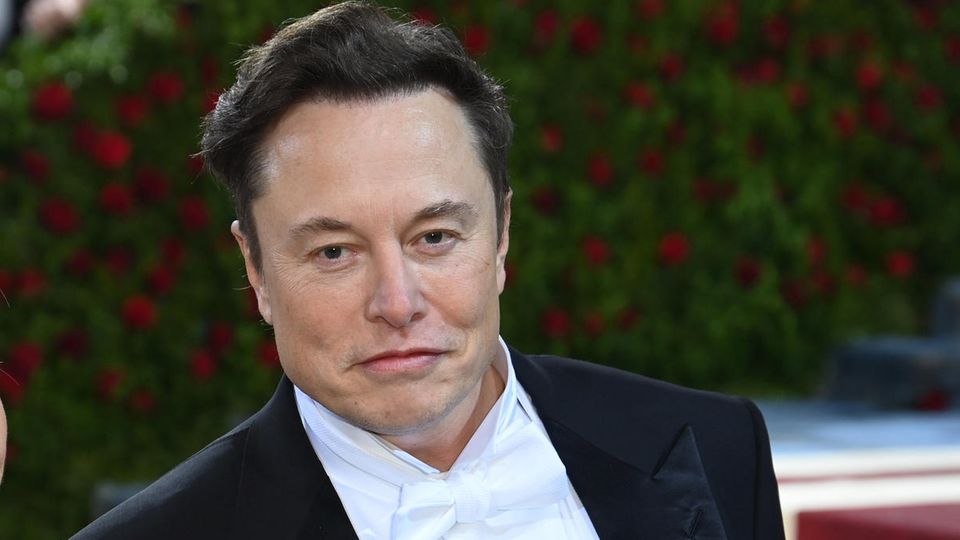 Milliardär Elon Musk