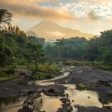 Landschaft mit grauem Vulkangestein und Regenwald