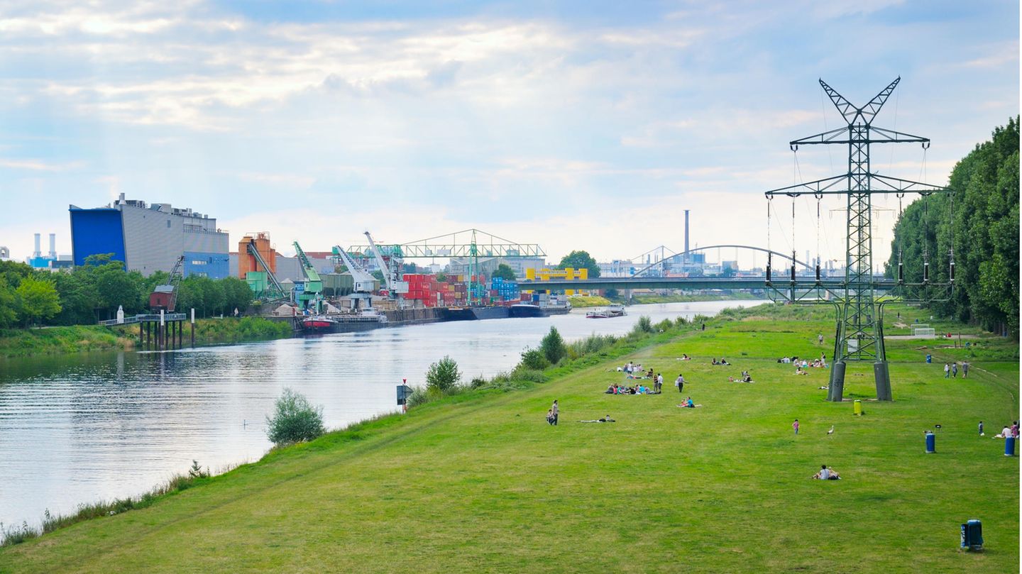 Hafen Mannheim