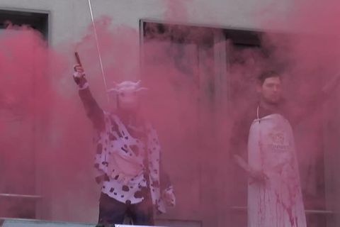 Video: Animal Rebellion fordert Ende der industriellen Tierhaltung