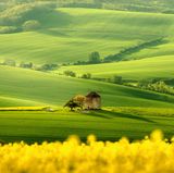 Beeindruckende Natur, historische Burgen und kulturreiche Städte – Tschechien hat einiges zu bieten, aber wird als Reiseziel gerne unterschätzt. Auch für Camper ist unser kleines Nachbarland ein wahres Mekka. Mehr als 300 Campingplätze bieten die perfekte Auswahl.   Durchschnittlicher Preis pro Nacht: 17,07 Euro