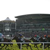 Bis zu 70.000 Zuschauer verfolgen die halsbrecherischen Hindernisrennen live vor Ort