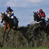 Immer wieder kommt es zu tödlichen Stürzen an den Hindernissen - bei der diesjährigen Ausgabe starben drei Pferde.