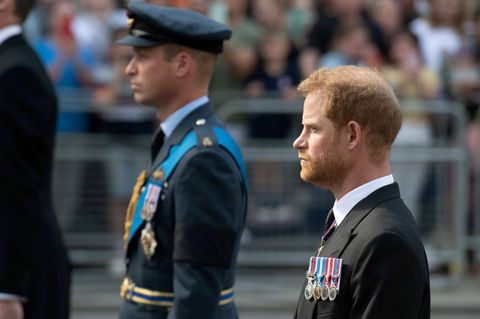 Prinz William und Prinz Harry