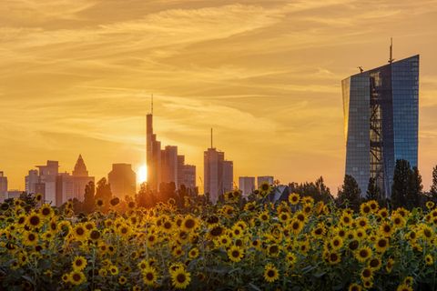 Schöne Aussicht: Sparerinnen und Sparer können bald mit höheren Zinsen bei ihren Banken rechnen