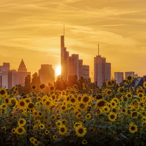 Schöne Aussicht: Sparerinnen und Sparer können bald mit höheren Zinsen bei ihren Banken rechnen