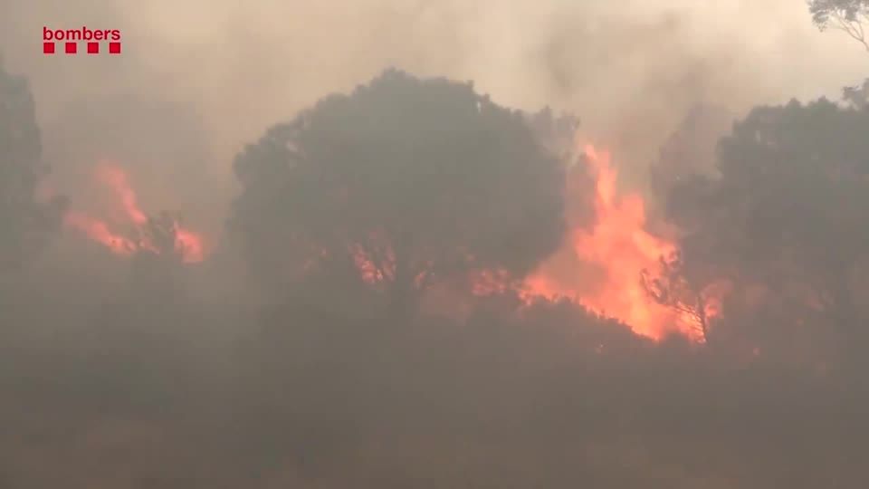 Video: In Spanien und Frankreich: Waldbrände fressen sich durch Grenzregion