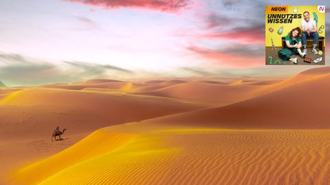 Unnützes Wissen rund um die Wüste