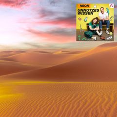 Unnützes Wissen rund um die Wüste