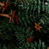 Eine Kiste voller Playmobiltannen