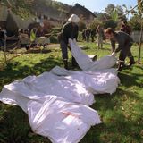 Beamte bedecken mehrere Leichen mit Tüchern