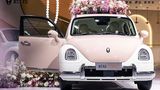 Das Auto Ora Ballet Cat