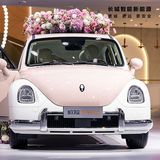 Das Auto Ora Ballet Cat