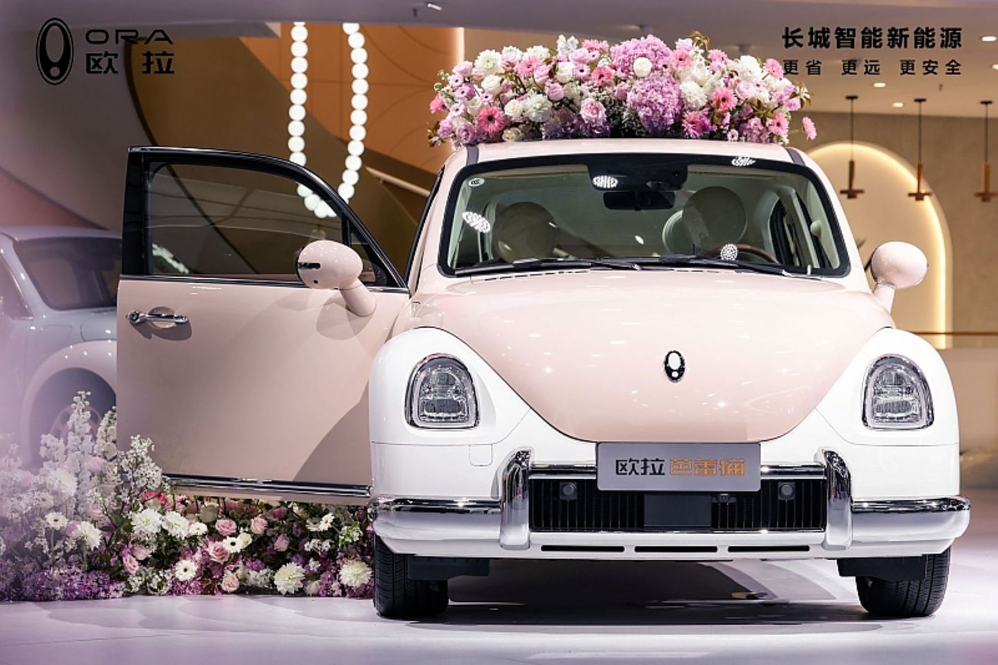 Das Auto Ora Ballet Cat