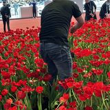 Polestar 4 auf der Auto Shanghai