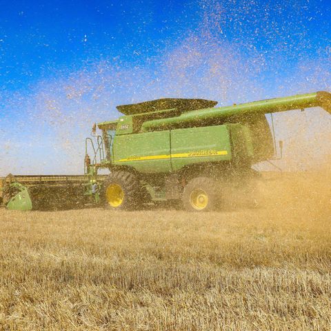 Ein Mähdrescher erntet Getreide auf einem Feld in der Region Odessa im Süden der Ukraine