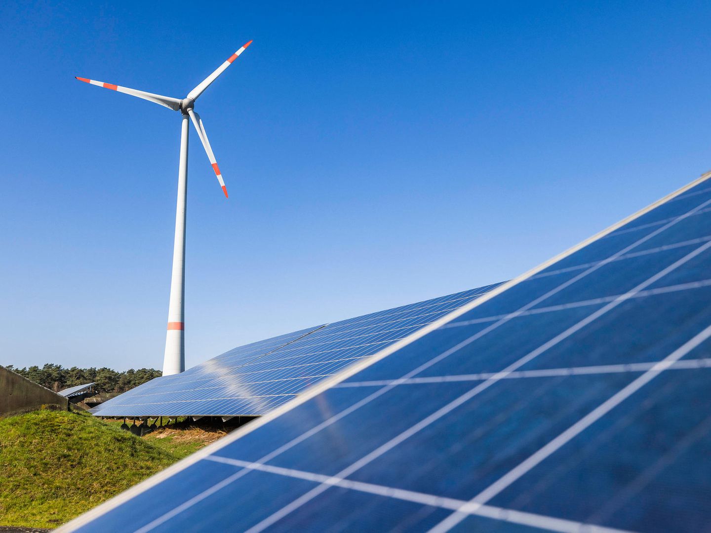 Jörg Müller: Vom Atomphysiker zum Windkraft-Unternehmer | STERN.de