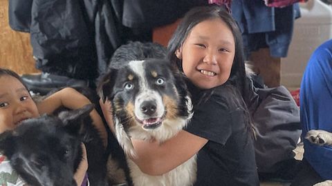 Ein Monat im Packeis: Entlaufener Hund durchquert Beringstraße und erreicht Alaska