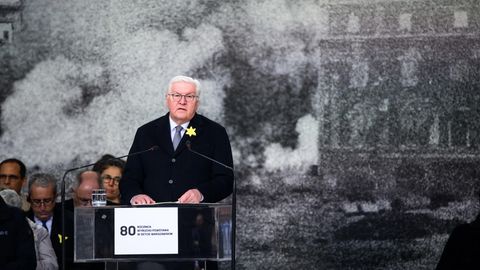 Bundespräsident Frank-Walter Steinmeier