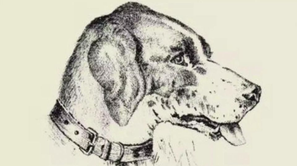Optische Täuschung: Können Sie das Gesicht des Mannes entdecken? Optische Täuschung: Können Sie das Gesicht des Mannes entdecken?