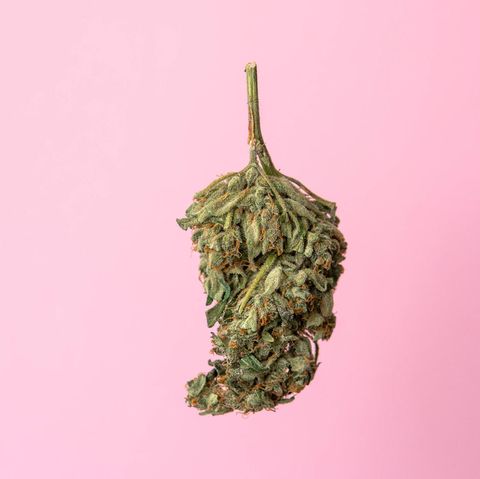 Eine Cannabis-Blüte