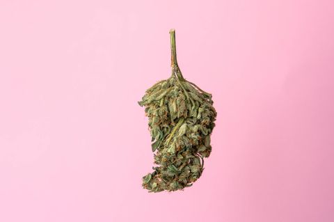 Eine Cannabis-Blüte