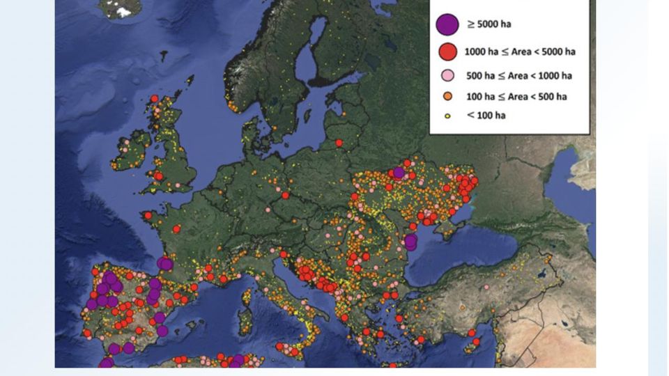 Brände Europa 2022