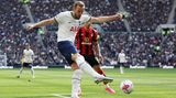 Harry Kane  Der englische Angreifer von den Tottenham Hotspurs steht schon seit längerem auf der Kandidatenliste von Bayerns Sportvorstand Hasan Salihamidzic. Der 29-Jährige ist seit Jahren zuverlässig einer der besten Torjäger der Welt und deswegen ziemlich teuer. Allerdings sollte er schon einmal kommen, doch der Transfer kam nicht zustande.