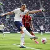 Harry Kane  Der englische Angreifer von den Tottenham Hotspurs steht schon seit längerem auf der Kandidatenliste von Bayerns Sportvorstand Hasan Salihamidzic. Der 29-Jährige ist seit Jahren zuverlässig einer der besten Torjäger der Welt und deswegen ziemlich teuer. Allerdings sollte er schon einmal kommen, doch der Transfer kam nicht zustande.