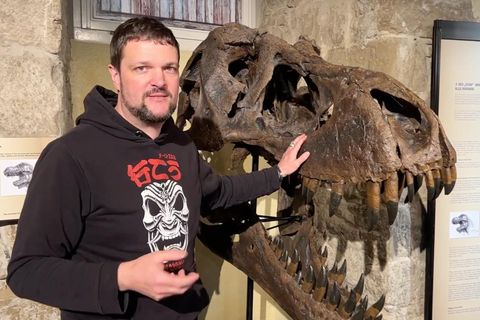 "Die berühmtesten T-Rex-Funde, die es gibt" – Fossilienpräparator führt durch Sonderausstellung