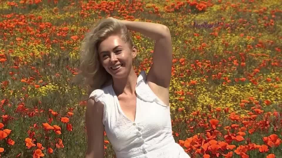 Dank des Winters: Das bringt Frühlingsgefühle: Blumenmeer schmückt Kalifornien