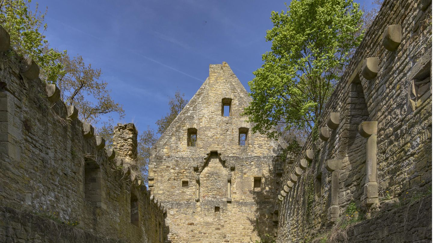 Sie gilt als frühe Verfechterin der Emanzipation und ist für ihren ganzheitlichen Blick auf die Welt nachhaltig bekannt: Hildegard von Bingen. In Rheinhessen können Reisende auf ihren Spuren wandeln und unter anderem ihre Taufkirche erkunden oder auf den Disibodenberg bei Odernheim am Glan wandern – wie es auch von Bingen damals tat. 