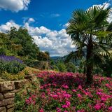 Als der Dichter Joseph von Eichendorff Inspiration suchte, fand er sie in Heidelberg. Er soll über die Universitätsstadt in Baden-Württemberg einmal gesagt haben: "Die Stadt selbst ist eine prächtige Romantik." Davon haben sich nach ihm auch viele weitere Künstler überzeugt. 
