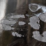 Ein Handabdruck eines Klimaaktivisten ziert einen Reisebus. Wie die Protestaktionen der Letzten Generation genau aussehen werden, ließ die Bewegung von Beginn an offen. Zu rechnen ist allerdings mit Störaktionen wie Klebeaktionen auf Hauptstraßen, Kreuzungen und Autobahnen. Aber alles im Sinne des friedlichen zivilen Ungehorsams, wie die Aktivisten betonen.