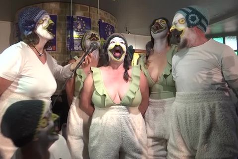 De Panne: Wer besser schreit, gewinnt: Belgien feiert eine Meisterschaft im Möwenkreischen