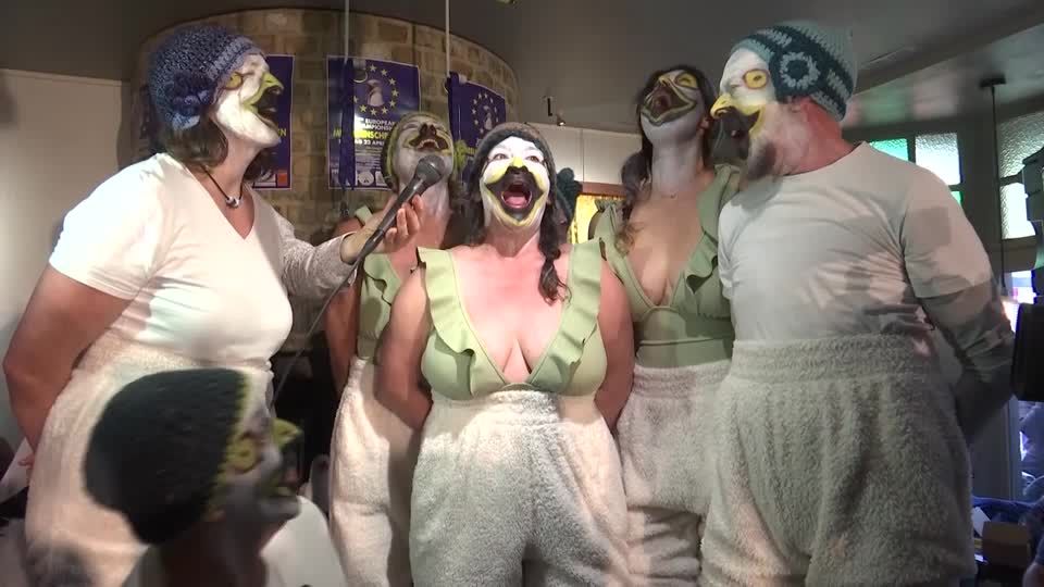 De Panne: Wer besser schreit, gewinnt: Belgien feiert eine Meisterschaft im Möwenkreischen