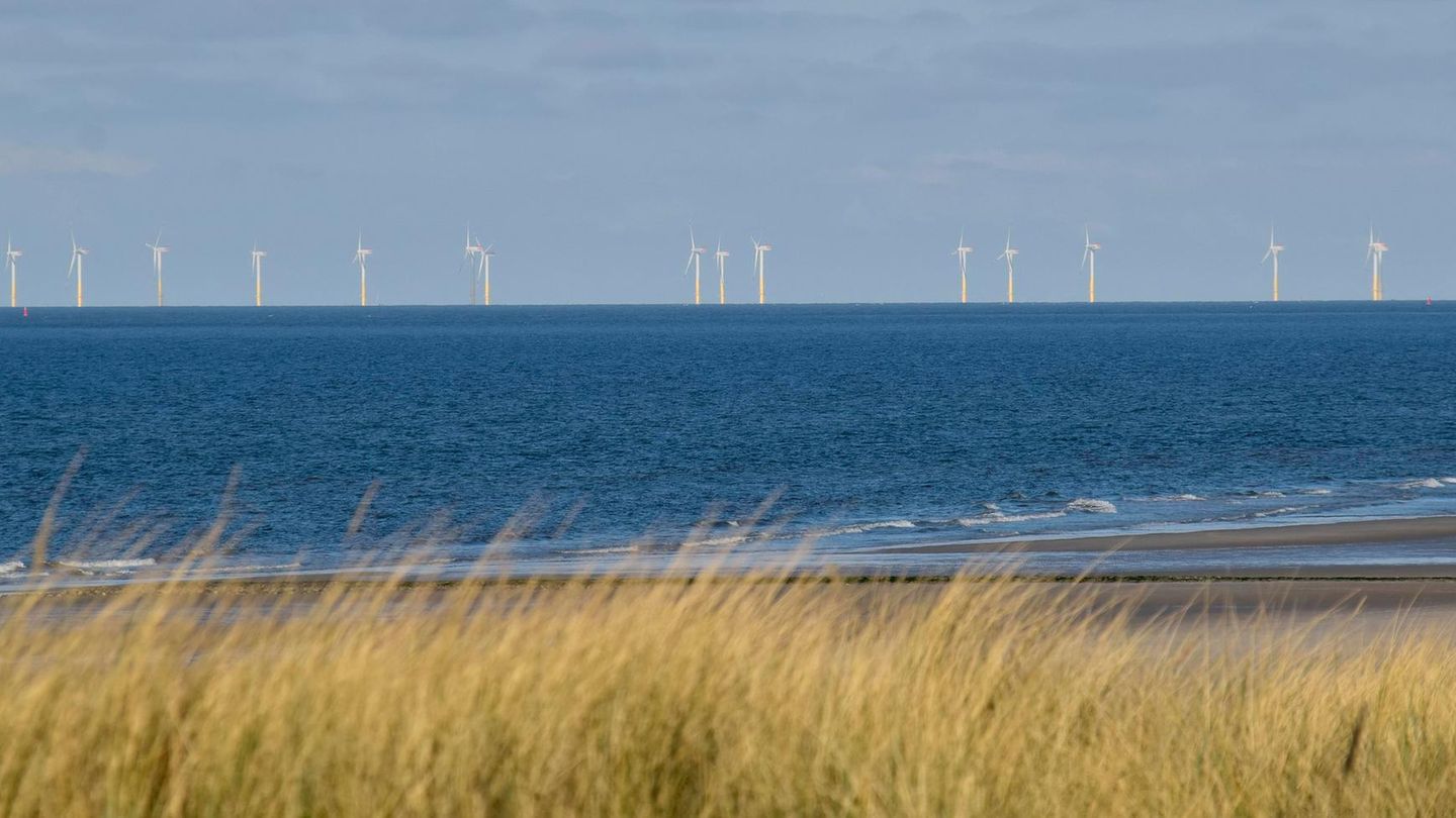 Offshore wind energy: These countries are currently showing the greatest ambitions