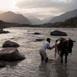 Saddam Raji kühlt sein erschöpftes Pferd im Fluss. Die Tiere müssen das ganze Spiel durchhalten