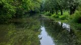 Wettringen