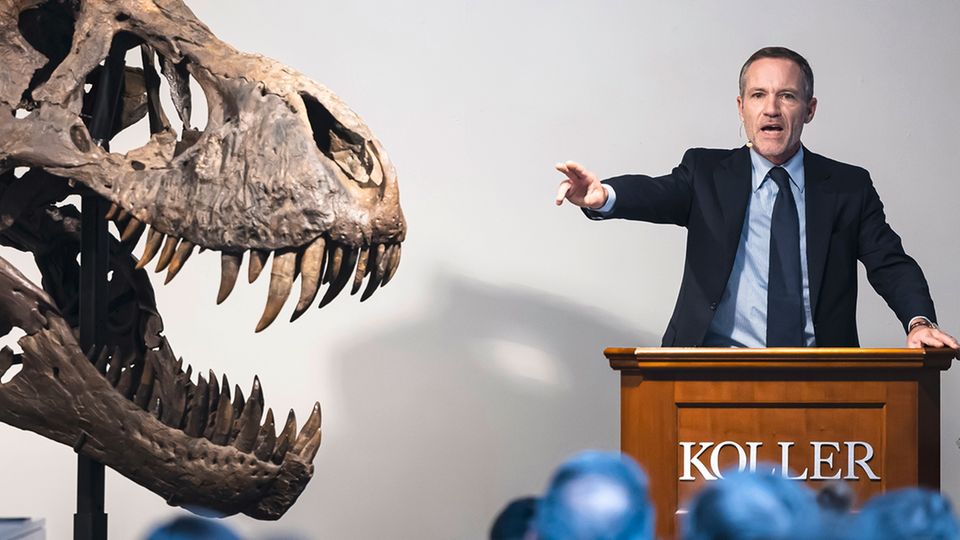 In Zürich wurde ein 66 Millionen Jahre altes T. Rex-Skelett für über 5,5 Millionen Euro versteigert